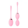 BOLAS VAGINALES KEGEL